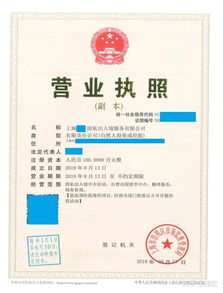 上海注冊非中介留學服務公司 類別、經營范圍與票務代理指南