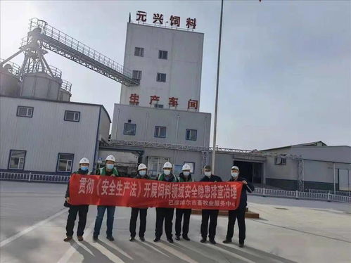 筑牢安全防線，保障市場(chǎng)供應(yīng)——市畜牧業(yè)服務(wù)中心開(kāi)展春節(jié)前飼料生產(chǎn)企業(yè)安全生產(chǎn)與銷(xiāo)售專(zhuān)項(xiàng)檢查
